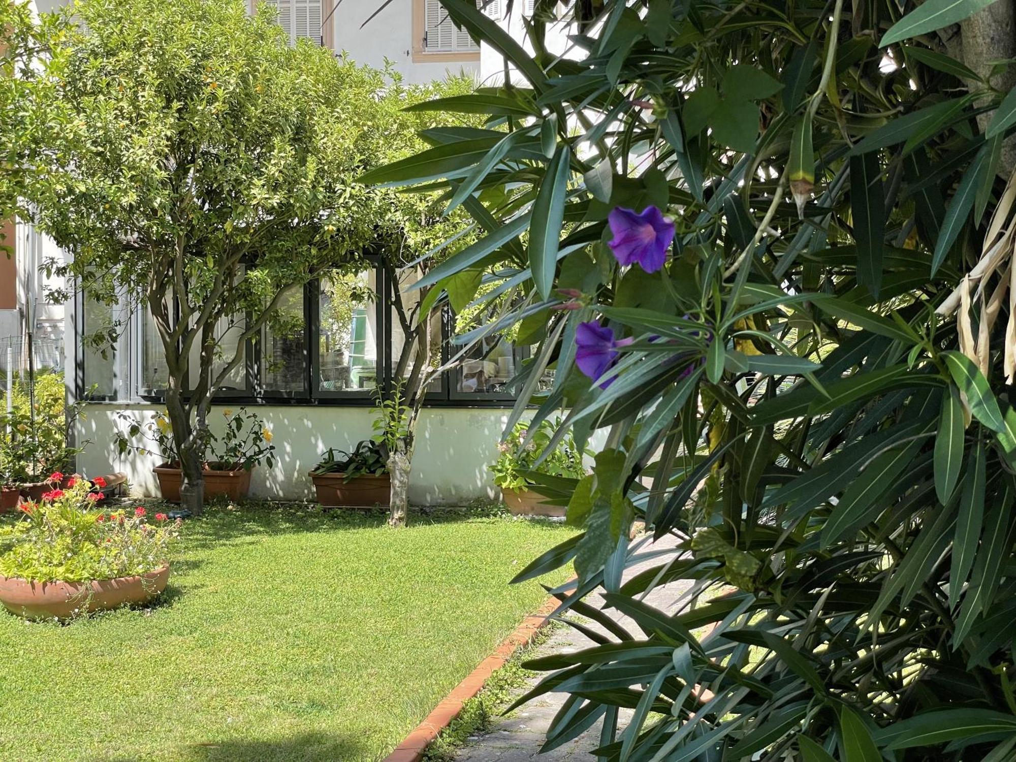 Rosalia Hotel Bordighera